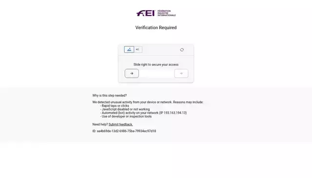 fei.org homepage screenshot