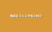 NSU 3  1-2 PS 1917