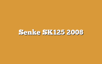 Senke SK125 2008