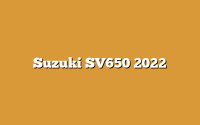 Suzuki SV650 2022